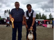Lillehammer 19.08.2017 - Norsk Kennel Klub - BIR Valp