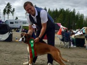 Lillehammer 19.08.2017 - Norsk Kennel Klubb - 4.BTK Norsk Utstillingschampion