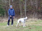 Snekkevik 30.04.2016 - Kragerø Hundeklubb - Mentalbeskrivelse - MH......