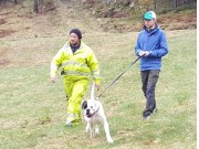 Snekkevik 30.04.2016 - Kragerø Hundeklubb - Mentalbeskrivelse - MH.......