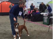 Tromsø 16.06.2017 - Tromsø Hundeklubb - BIM