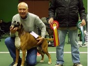 Kongsberg 28.10.2017 - Kongsberg Hundeklubb - BIR
