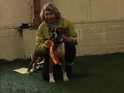 Gran på Hadeland 29.01.2017 - Hadeland Hundeklubb - BIR Valp