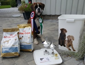 Ratschasi's Quatro Grappa 260817