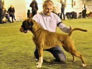 Solbergelva, Drammen Hundepark 11.02.2018 - Hotbox Outstanding Khaleesi - BIM