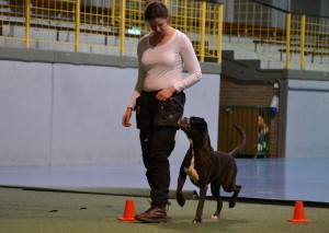 Handler's Pralin 2018-2