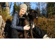 Melhus 22.04.2017 - Norsk Schäferhund Klub avd. Nordenfjeldske - Mentalbeskrivelse MH