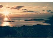 Norsk Boxerklubb sin utstilling i Nordland arrangeres også i 2018, i Bodø