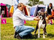 Roskilde, Danmark 11.05.2018 - Sandro - NCAC, BIR, DK UCH, NORDIC UCH