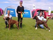 Roskilde, Danmark 12.05.2018 - Sandro - CACIB, BIM, Internasjonalt Championat