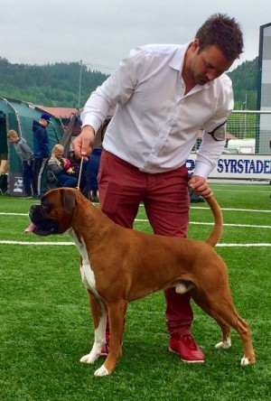 Miller av Boxerhuset 260518