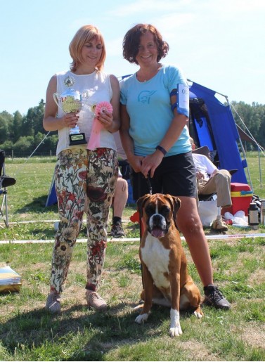 ArsvinnerJuniorTispe-BirkeboxerThelma