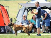 Melsomvik 03.06.2018 - Bozzz von Ellinghaus - Res.Nordisk CERT 2.BHK