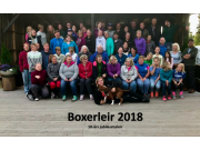 En vellykket Boxerleir 2018 er over - 30. juni åpnes det for påmelding 2019