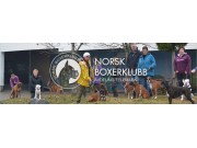 OBS - Dommerendring NBK Telemark i Skien
