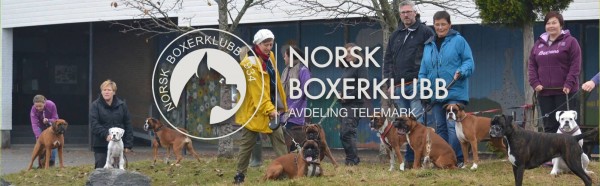 Telemark