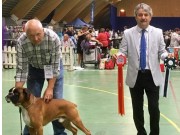 Letohallen, Dal 12.08.2018 - Cum Laude V Rusticana - BIR