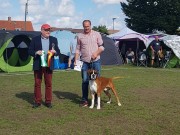 Bornholm, Danmark 18.08.2018 - Napmary's Incredible Dream - CACIB BIR Dansk Utstillingschampion
