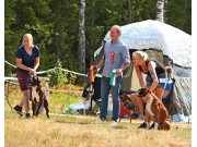 Østfold sin spesialutstilling på Evenrød lørdag 28.07.2018 - BIR og BIM