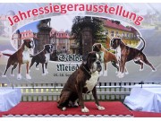 Meisdorf, Tyskland 16.09.2018 - Kvadratens Opus - Jahresveteranensieger 2018