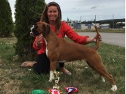 Våler i Solør 21.07.2019 - Rexob Miss Norway - CERT BIR