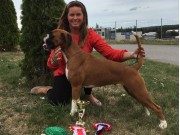 Letohallen, Dal 11.08.2018 - Rexob Miss Norway - CERT BIR 4.BIG