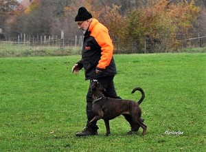 Winnie-Wonka vom Hause Bresicke 101118