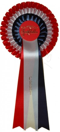 hcert1050var Cert rosett hund