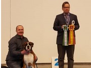 Gøteborg, Sverige - Napmary's Incredible Dream - BIM CACIB