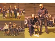 Norsk Boxerklubb sin spesialutstilling 10.02.2019 - Vinnerne