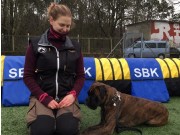 Stavanger 03.03.2019 - Rexob Lucky Talisman - Rallylydighet kl 1 - 1.premie 179 poeng
