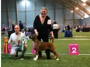 Bø i Telemark 16.02.2019 - Kronion's Dixi Darling - Nordic CERT BIM