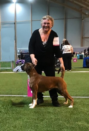 Kronion's Dixi Darling 060419