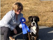 Kvalsund 26.04.2019 - Birkeboxer Quinto - BIR 2.BIG