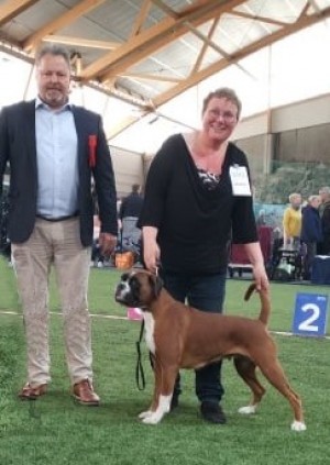 Kronion's Dixi Darling 040519
