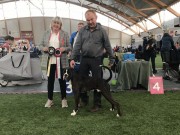 Ålesund 05.05.2019 - Kronion's Kratos Your Felix - CERT Nordic CERT 