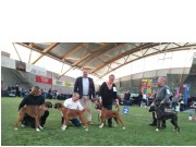 Ålesund 04.05.2019 - Kronion - Oppdretterklasse - HP1