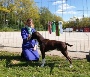 Nils av Boxerhuset 110519