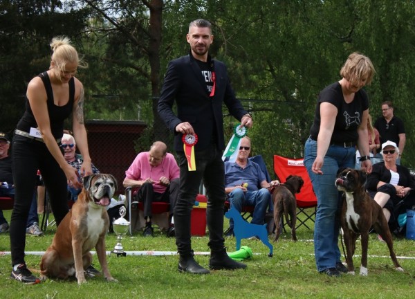 Vinnere-Veteran-020619