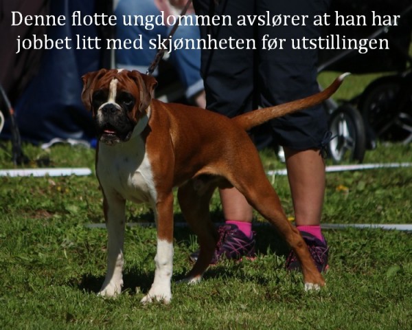 Arsvinner06