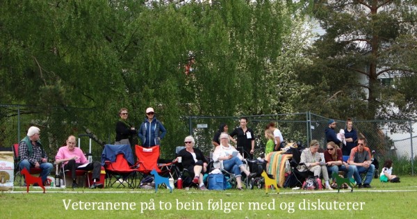 Arsvinner07
