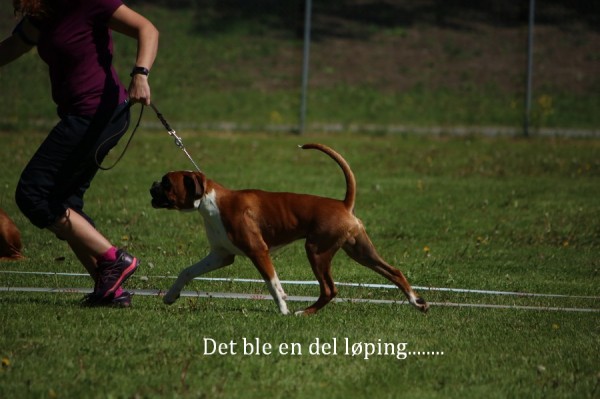 Arsvinner09