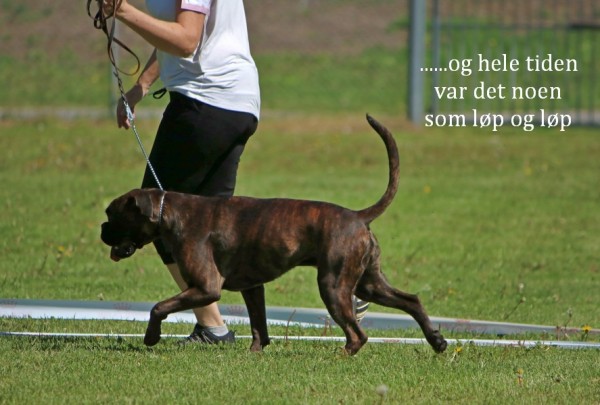 Arsvinner14