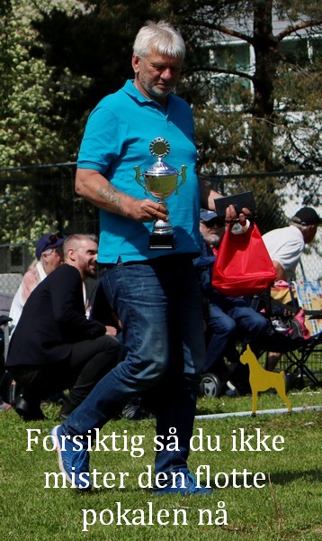 Arsvinner17
