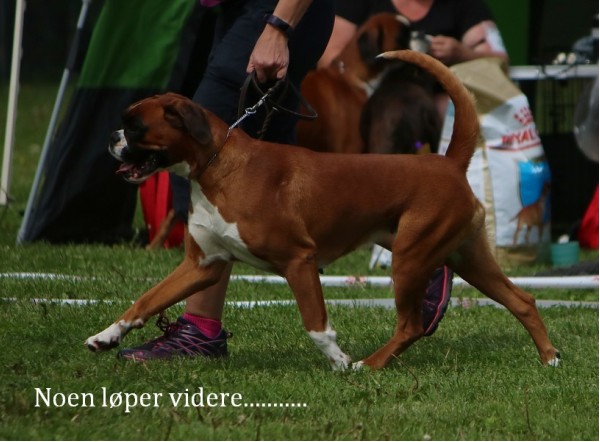 Arsvinner18