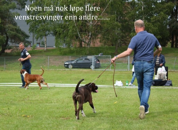 Arsvinner22