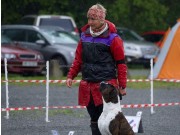Hokksund 22.06.2019 - Boxerknock Elephant In The Room - Rallylydighet kl 3 - 3.premie  177 poeng