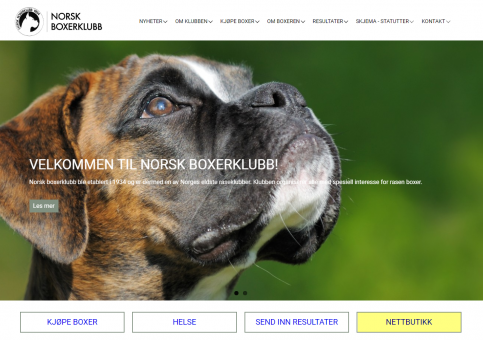 Forside med underknapper