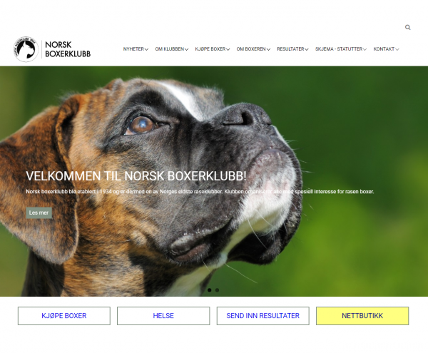 Forside med underknapper