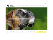Ny nettbutikk for Norsk Boxerklubb